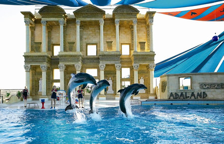 A view from Dolphin and Seal Shows A view from Dolphin and Seal Shows