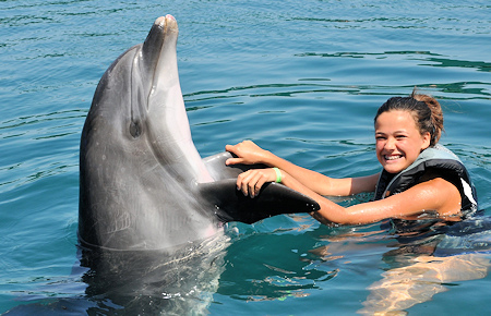 A view from Marmaris Swimming with a dolphin A view from Marmaris Swimming with a dolphin