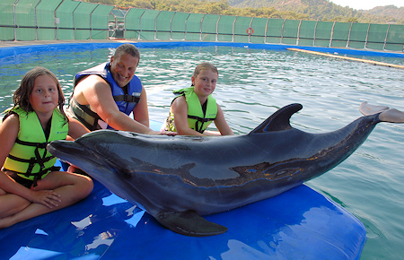 A view from Marmaris Swimming with a dolphin A view from Marmaris Swimming with a dolphin