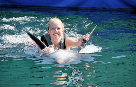 A view from Swimming with a dolphin in Marmaris A view from Swimming with a dolphin in Marmaris