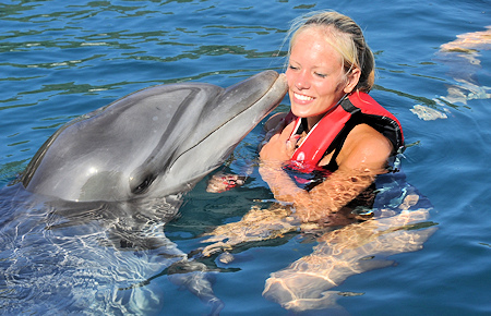 A view from Swimming with a dolphin in Marmaris A view from Swimming with a dolphin in Marmaris