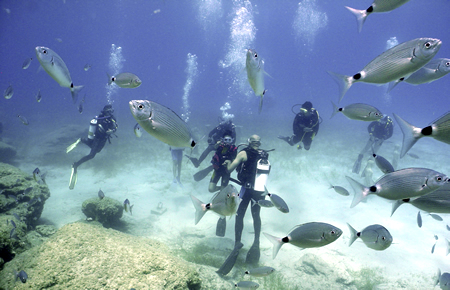 A view from Scuba Diving A view from Scuba Diving