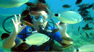 A view from Scuba Diving A view from Scuba Diving