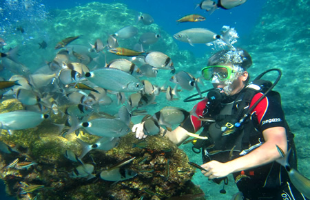 A view from Scuba Diving A view from Scuba Diving