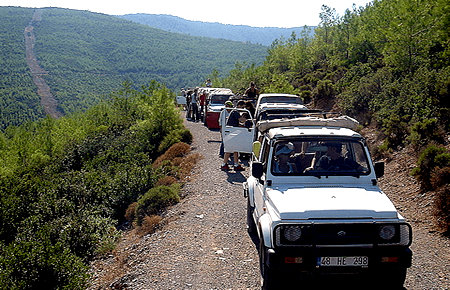 A view from Jeep Safari