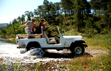 A view from Jeep Safari