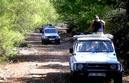 A view from Jeep Safari