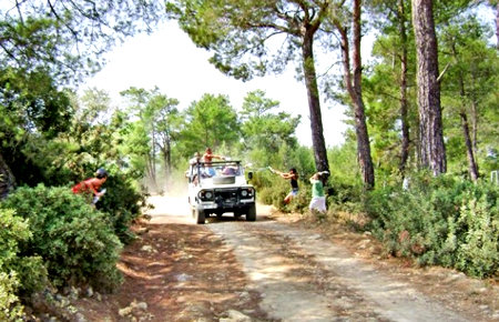 A view from Jeep Safari