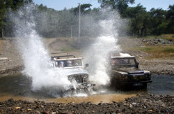 A view from Jeep Safari