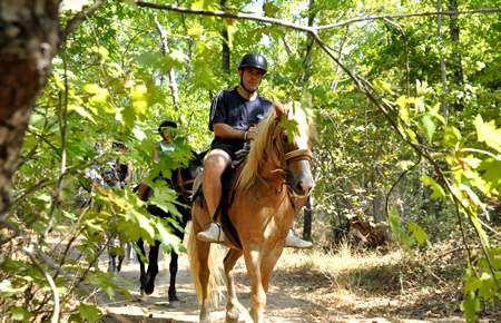 A view from Bodrum Horse Safari