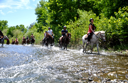 A view from Bodrum Horse Safari