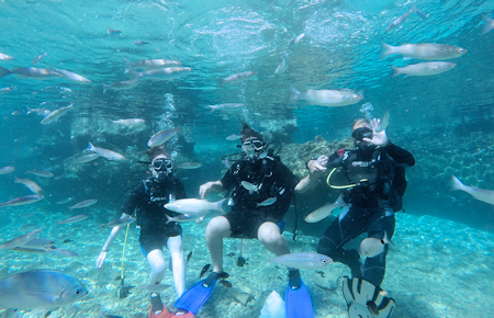 A view from Bodrum Scuba Diving