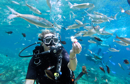 A view from Bodrum Scuba Diving