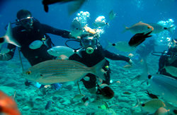 A view from Bodrum Scuba Diving