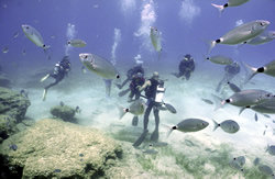 A view from Kusadasi Scuba Diving