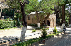 A view from Ephesus half-day