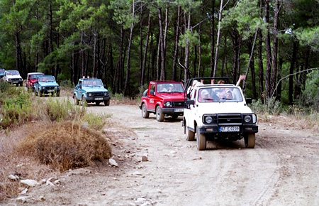 A view from Jeep Safari A view from Jeep Safari