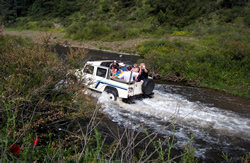 A view from Jeep Safari