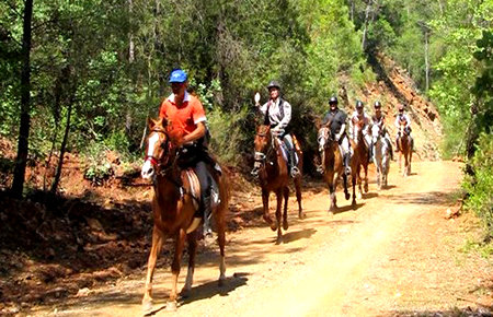 A view from Fethiye Horse Safari