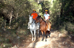 A view from Fethiye Horse Safari