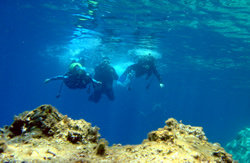A view from Scuba Diving