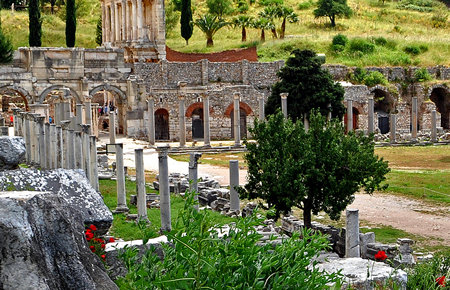 A view from Ephesus & Pamukkale (2-Days) A view from Ephesus & Pamukkale (2-Days)