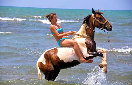 A view from Kusadasi Horse Safari