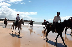 A view from Kusadasi Horse Safari