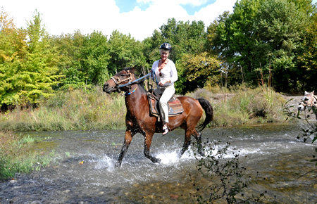 A view from Marmaris Pinar Ranch Horse Safari A view from Marmaris Pinar Ranch Horse Safari
